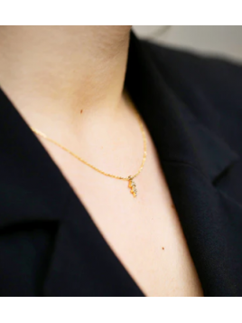 Collier acier doré...