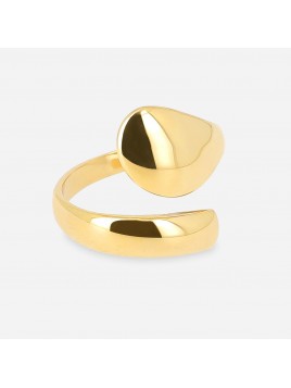 BAGUE–Hug–ACIER...