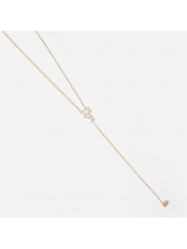 COLLIER–Baratia–ACIER...