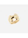 BAGUE–Corvus–ACIER DORE–56 Zag Bijoux
