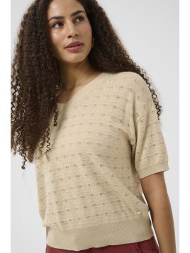 Pull CREAM CRAnnali